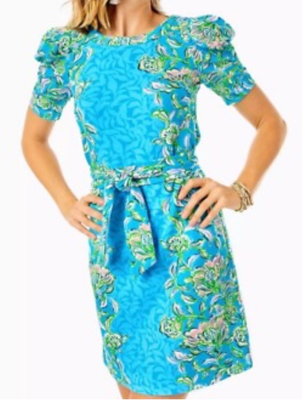 Lilly Pulitzer Harriet Elbow Sleeve Dress in "Cumulus Blue Chick Magnet" S - Picture 3 of 14